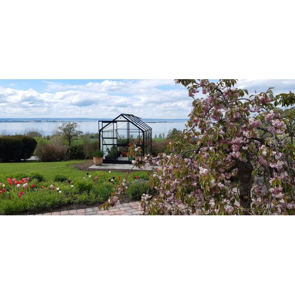 V�xthus Neptunus - 5 m�