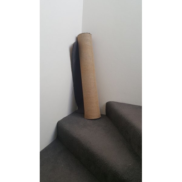 Poster - Carpet