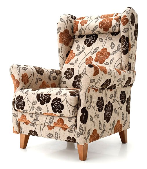 Fauteuil Dora - N\\\'importe quelle couleur! + Détachant pour meubles Fauteuil Dora - N\\\'importe quelle couleur! + Détachant pour meubles
