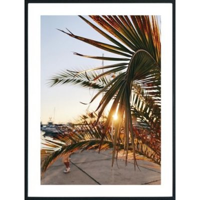 Posterworld - Motiv Palm - 70x100 cm