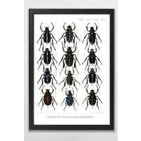 Tavla Insekter - 50x70 cm Tavla Insekter - 50x70 cm