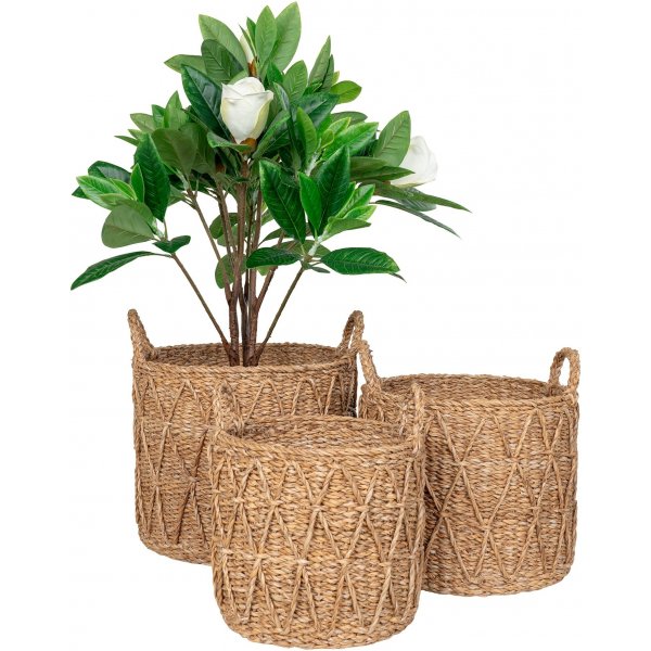 Panier Krabi - Algues