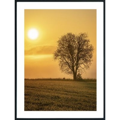Posterworld - Motiv Lonely Tree - 50x70 cm