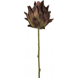 Kronärtskocka konstblomma Kronärtskocka konstblomma