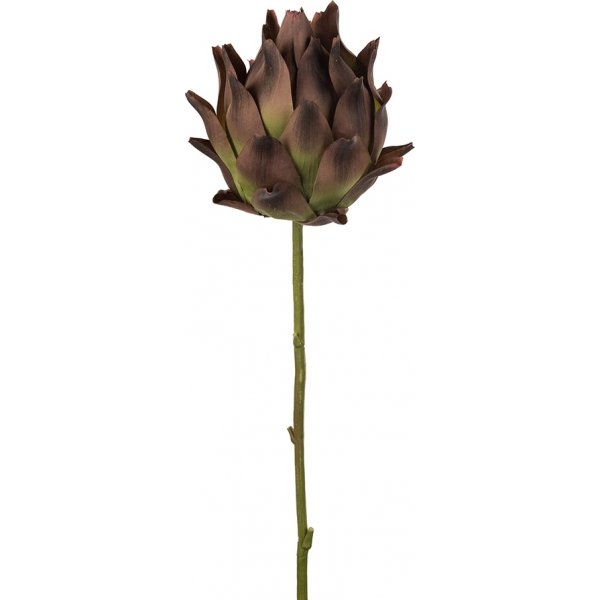 Kronrtskocka konstblomma