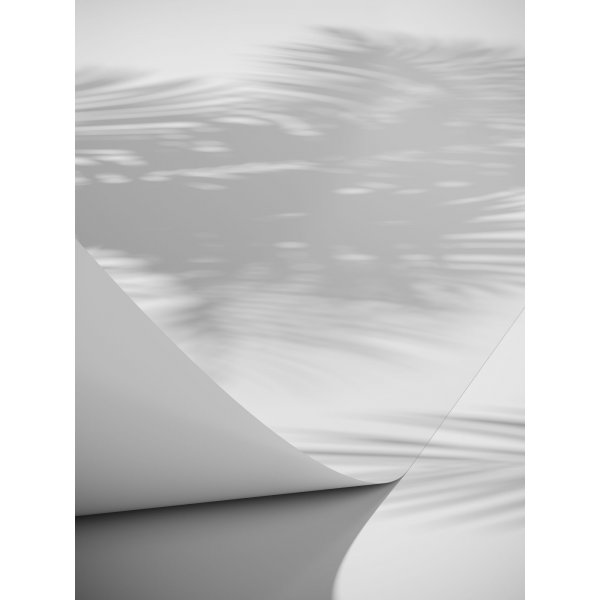 Affiche - Papyrus