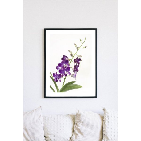 Posterworld - Motiv Orchid - 70x100 cm Posterworld - Motiv Orchid - 70x100 cm