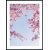 Posterworld - Motif Fleur dans le ciel - 50x70 cm