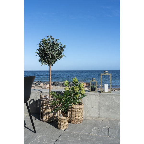 Plante artificielle de figuier - Vert