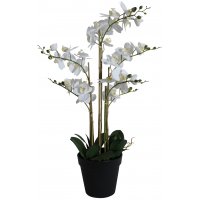 Konstväxt - Orkidé 8 stänglad H80 cm - Vit Konstväxt - Orkidé 8 stänglad H80 cm - Vit
