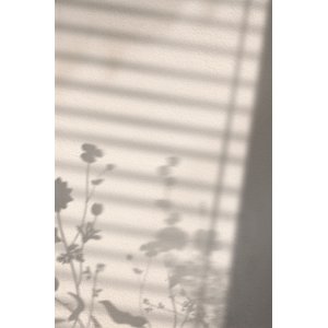 Poster - Flower shadow