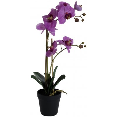 Konstvxt - Orkid 2 stnglad H54 cm - Lila