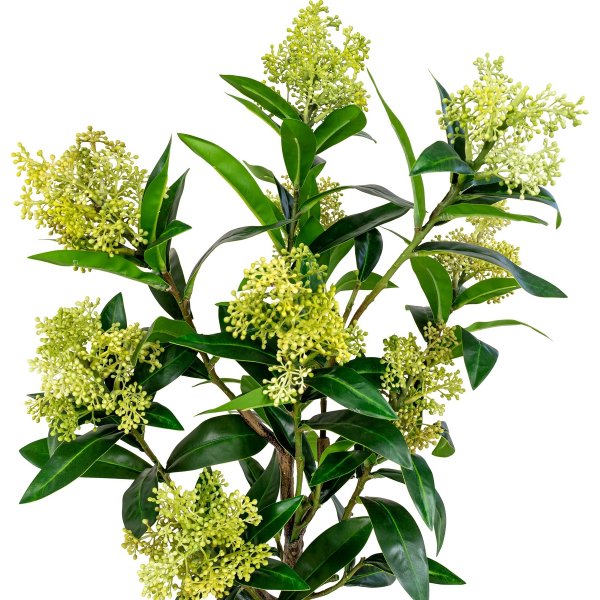 Skimmia boom kunstplant - Groen Skimmia boom kunstplant - Groen