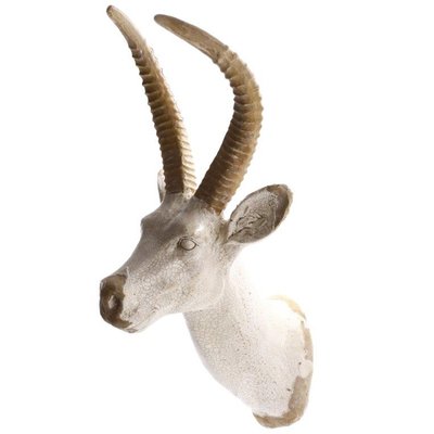 Vggdekoration antilop horn