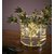 Bouquet bordslampa 19 cm - Krom/klarglas