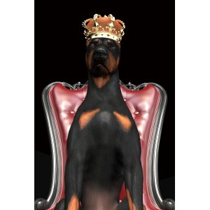 Glastavla - Dog in crown - 80x120 cm