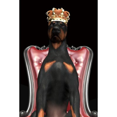 Dog in crown glastavla - 80x120 cm