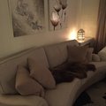 Mycket fin och väldigt mysig! En riktig krypa- upp- i soffa? Howard Southampton 4-sits svängd soffmodell - Ljus beige