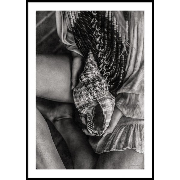 SEASHELL - Poster 50x70 cm