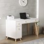 Inert skrivbord 120x60 cm - Vit/ek