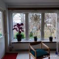 Kundbild Konstväxt - Orkidé 9 stänglad H90 cm - Mörkrosa: Ståtlig!