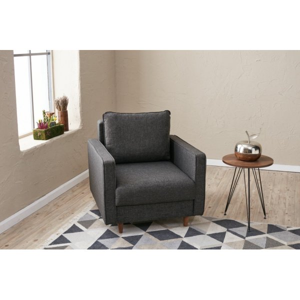 Eca fauteuil - Antraciet + Textielreiniging voor meubels Eca fauteuil - Antraciet + Textielreiniging voor meubels