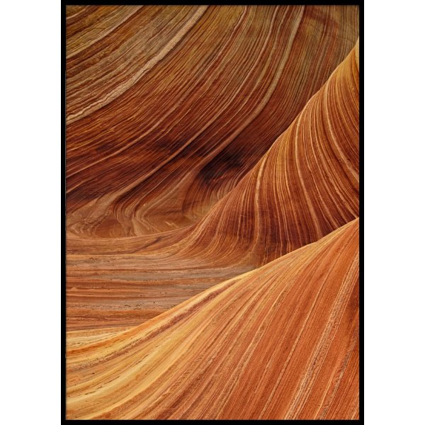 FORMS - Poster 50x70 cm