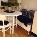 Kundbild Sture sittbänk med förvaring 90 cm - vit: Jättefin bänk över förväntan.