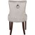 Tuva stol med handtag i ryggen - Gråbeige sammet + Fläckborttagare för möbler