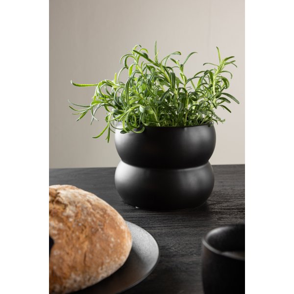 Pot Dapné - Noir Pot Dapné - Noir