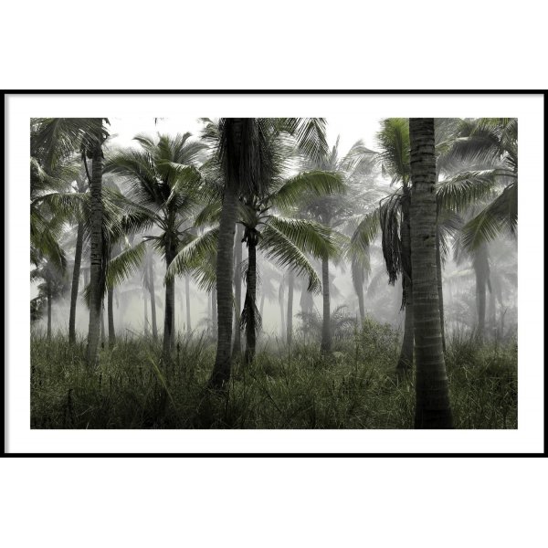 PALMTREES FOG - Poster 50x70 cm