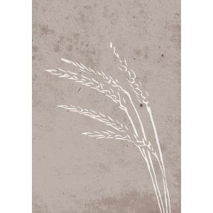 Poster - Seeds - 21x30