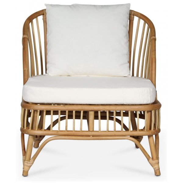 Baboo ftlj i rotting med dyna - Natur