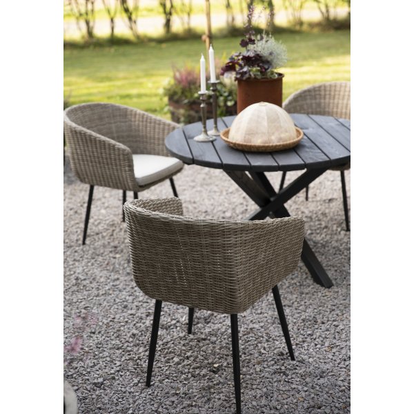 Trdgrdsstol - Aster | naturfrgad konstrotting