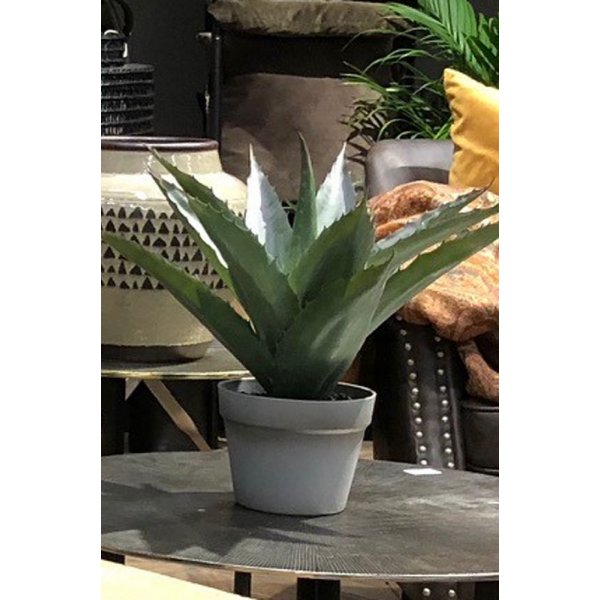 Sunday konstväxt 45 cm - Alovera Sunday konstväxt 45 cm - Alovera