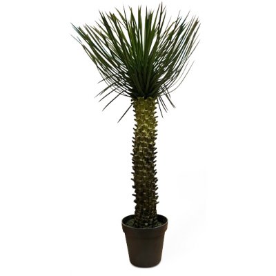 Palm konstvxt hjd 112 cm