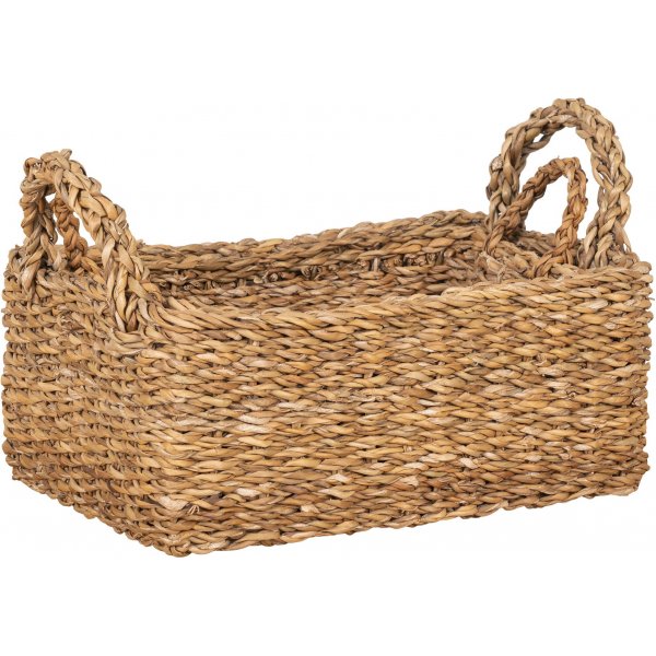 Morella mand set van 2 - Natuur