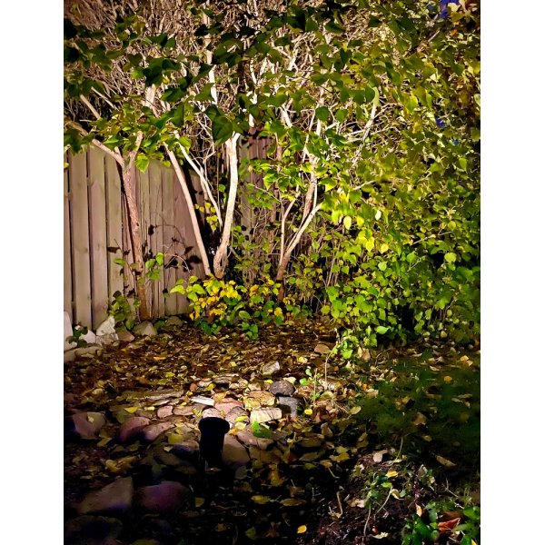 Spot de sol arrière - Noir Spot de sol arrière - Noir