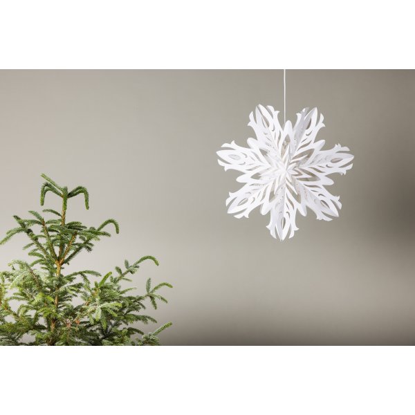 Hundfjllet adventsstjrna - Vit