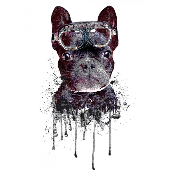Poster Hund