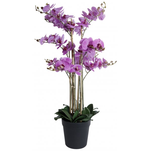 Konstvxt - Orkid 9 stnglad H90 cm - Rosa