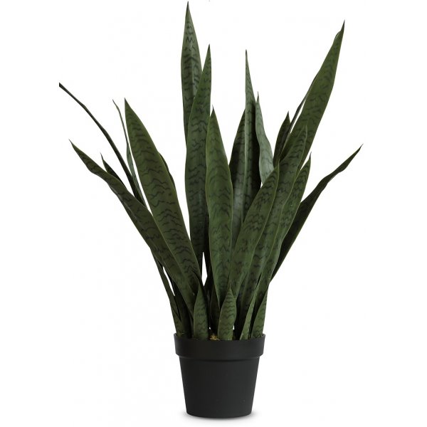 Konstvxt - Verde Sanseviera planta 90 cm