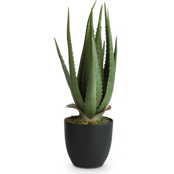Plante verte artificielle - Alovera