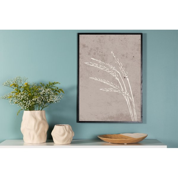 Affiche - Graines Affiche - Graines