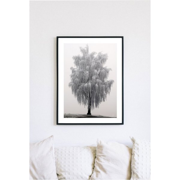 Posterworld - Motiv Frosty tree - 50x70 cm Posterworld - Motiv Frosty tree - 50x70 cm