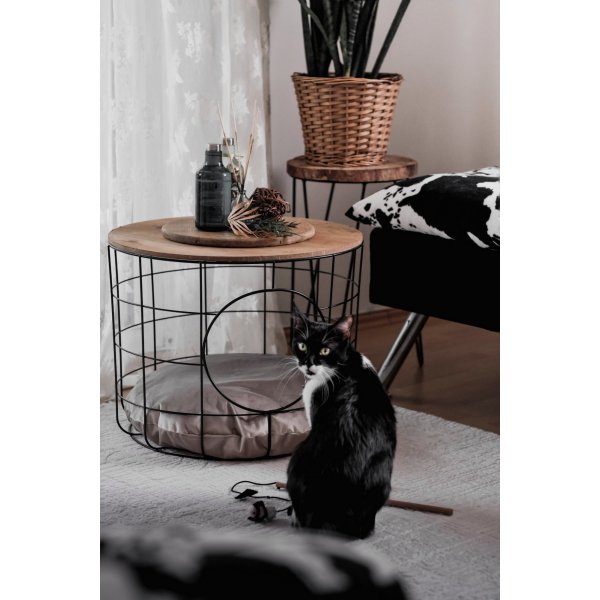 Cat soffbordsset - Furu/svart Cat soffbordsset - Furu/svart