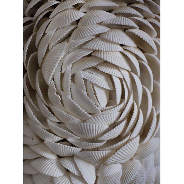 Cape Cod lampfot med snäckor Cape Cod lampfot med snäckor