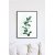 Posterworld - Motif Eucalyptus - 50x70 cm