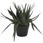 Sunday aloveraplanta 42 cm - Svart