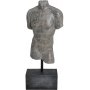 Torso man - Gr